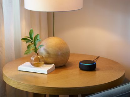 Amazon Alexa review: Echo Dot