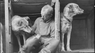 A man sits in a crate with two dogs either side