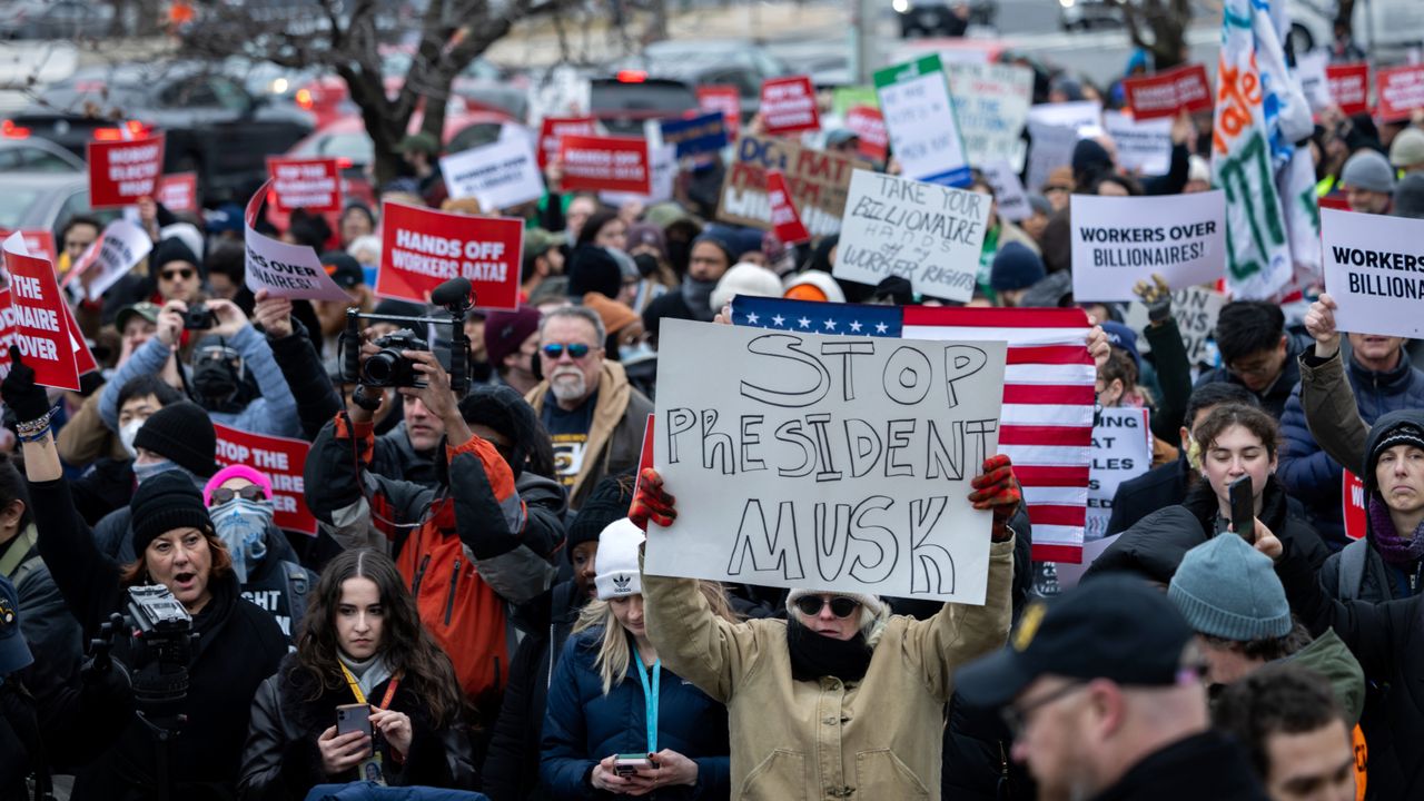 Anti-Elon Musk protest in Washington, D.C.