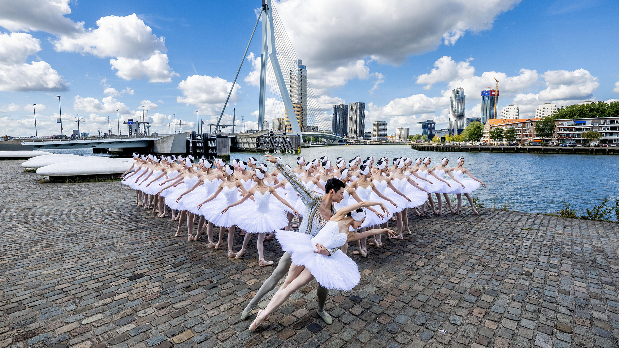 Forty-eight dancers from a Shanghai Ballet production of Swan Lake pose by the Erasmus Bridge in Rotterdam, Netherlands