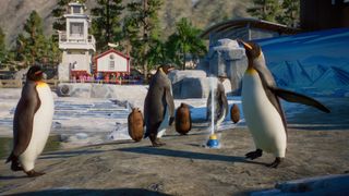 A penguin in Planet Zoo.
