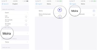 Tap a voice, tap the play button to preview or the download button to download it, tap the name to enable the voice