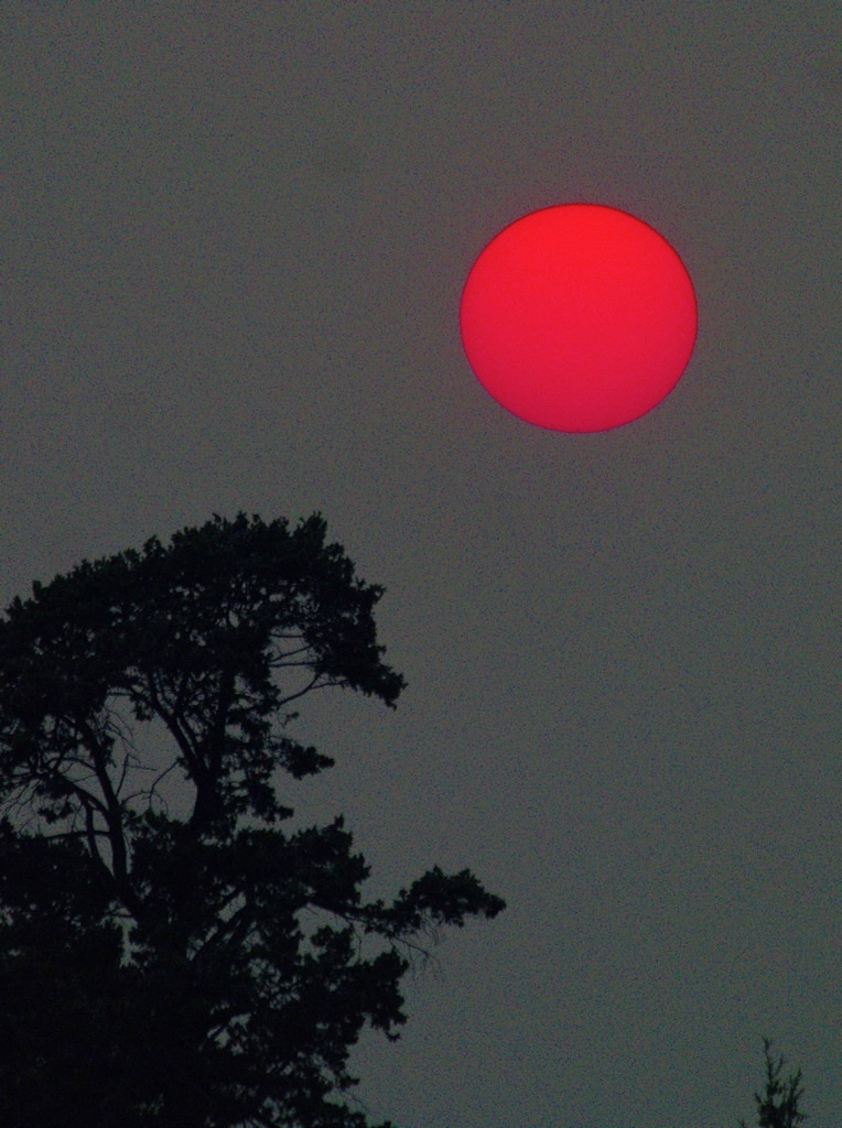 Red sun through the dust during wildfires in Canada