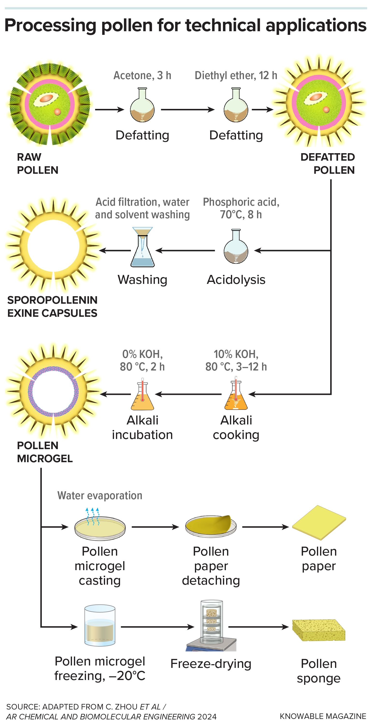 a diagram showing how pollen can be processed for technical applications