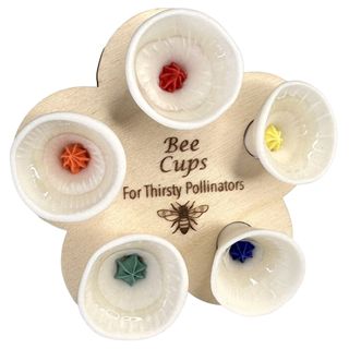 5 pack of bee cups in white