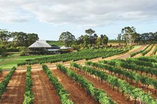 Margaret River Chardonnay 2023