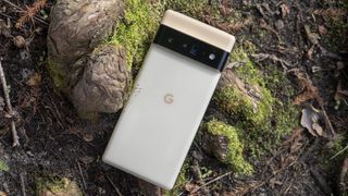 Google Pixel 6 Pro lying on the forest ground with its back shown off