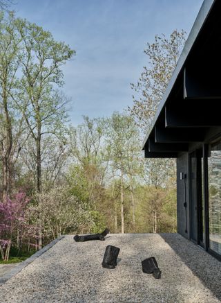 Exterior shot of modernist house in glass and steel with trees in the background