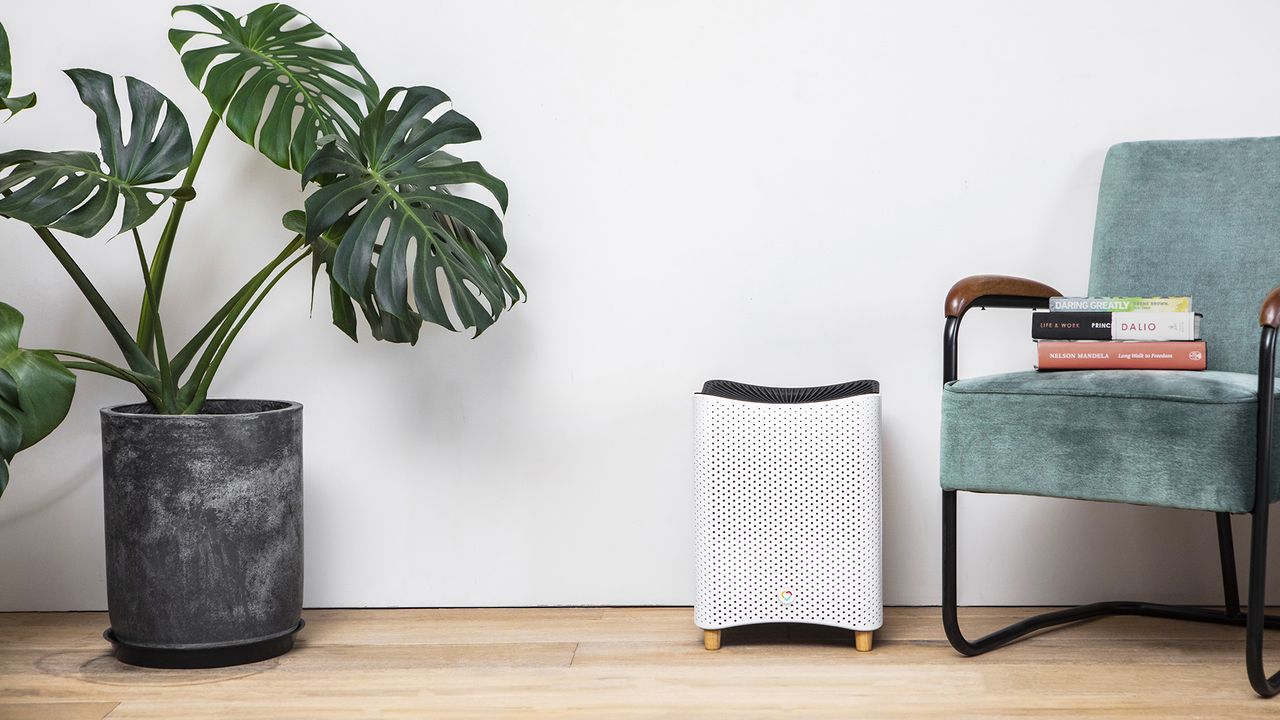 Mila Air Purifier review