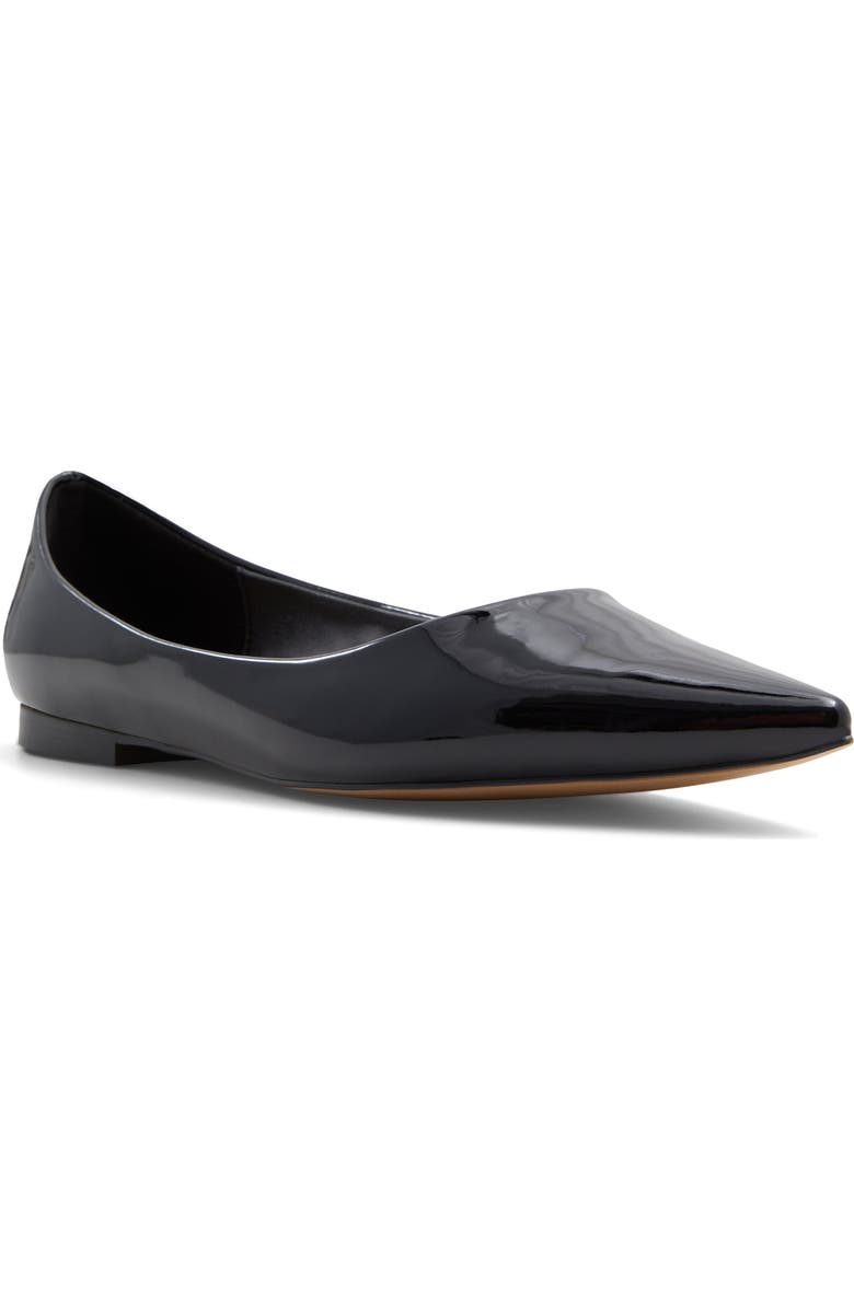 Stessy Pointed Toe Flat