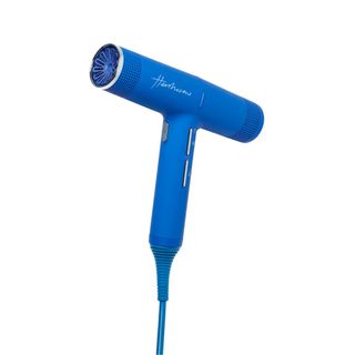 Best products for thin hair: Hershesons The Great Hairdryer