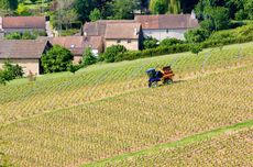 C&ocirc;te-Chalonnaise