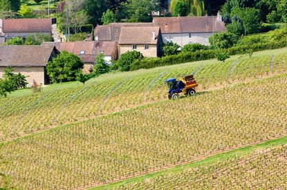 C&ocirc;te-Chalonnaise