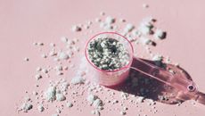Wellness, fitness, exercise, protein powder, Measuring spoon with collagen powder or alginate mask on pink background, dry scooping tiktok