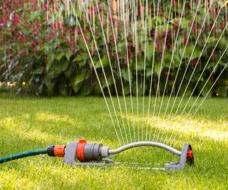 lawn sprinkler watering a lawn