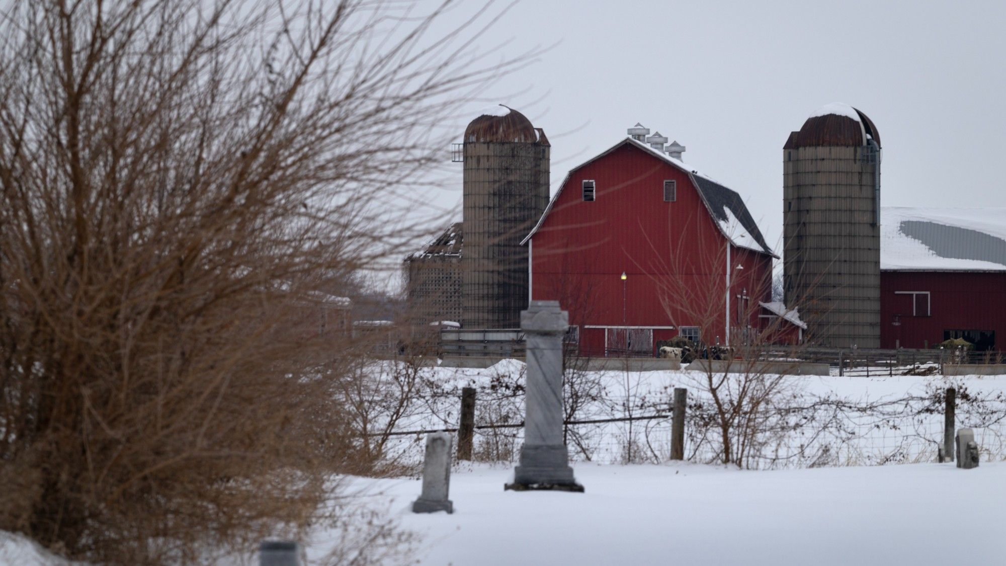 theweek.com - Joel Mathis, The Week US - Will Trump's $12 billion bailout solve the farm crisis?