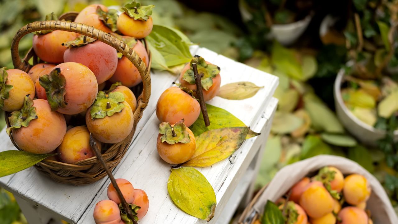 Orange persimmon fruits on white table