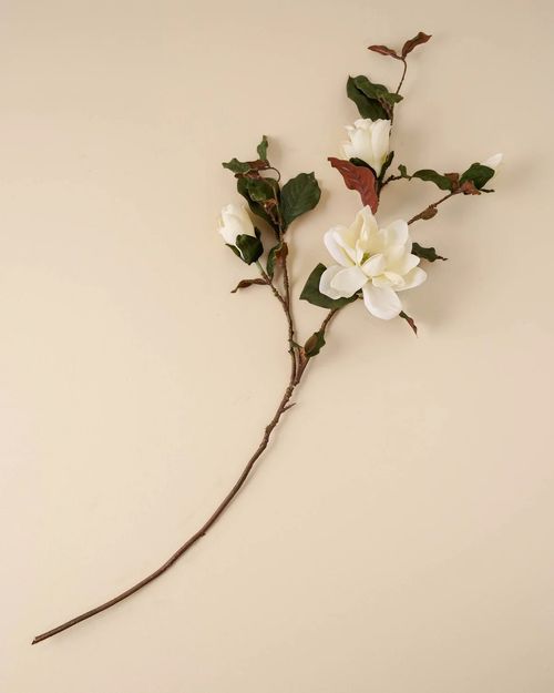 Magnolia Spray