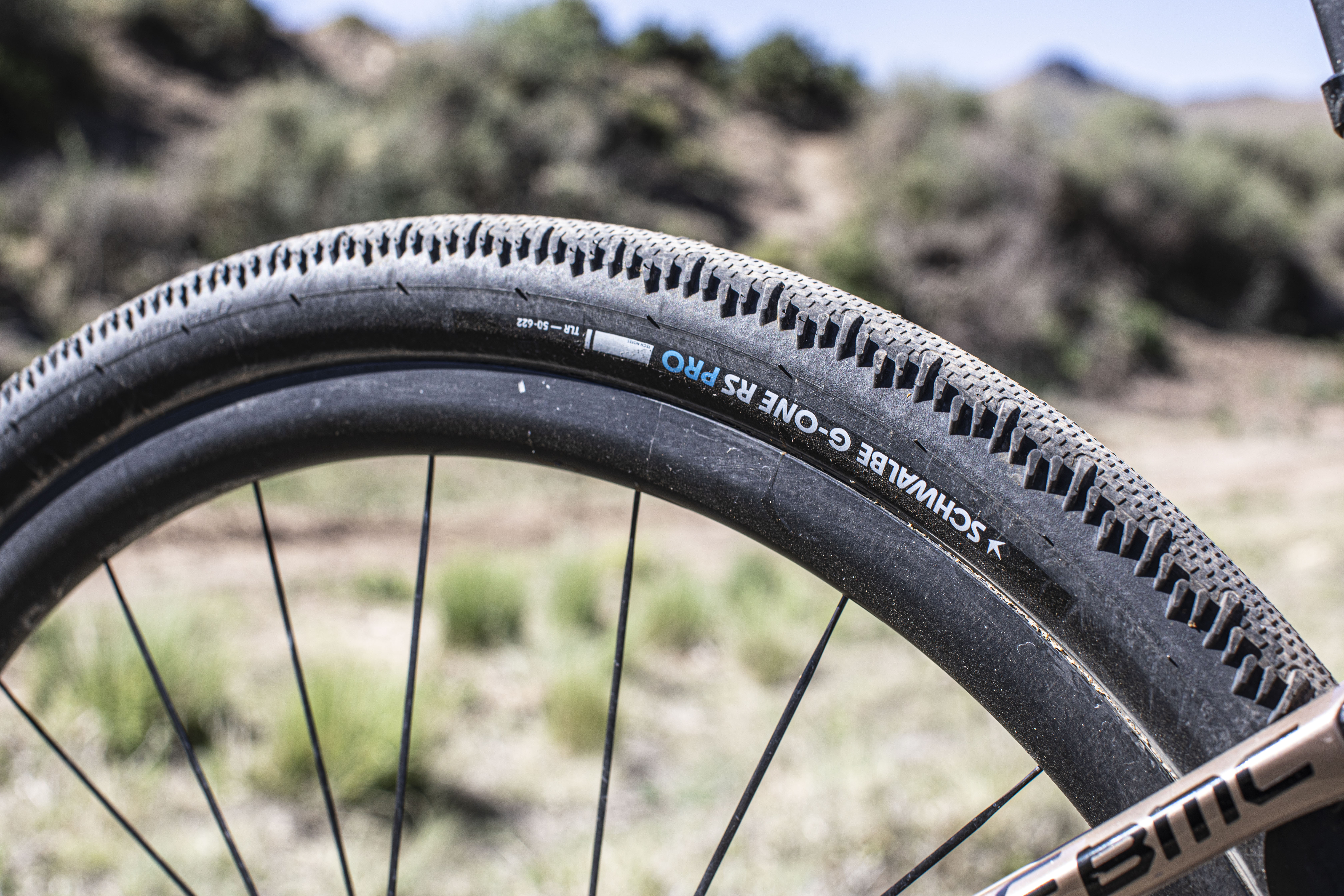 Simon Pellaud's BMC URS 01 One Schwalbe tyre detail