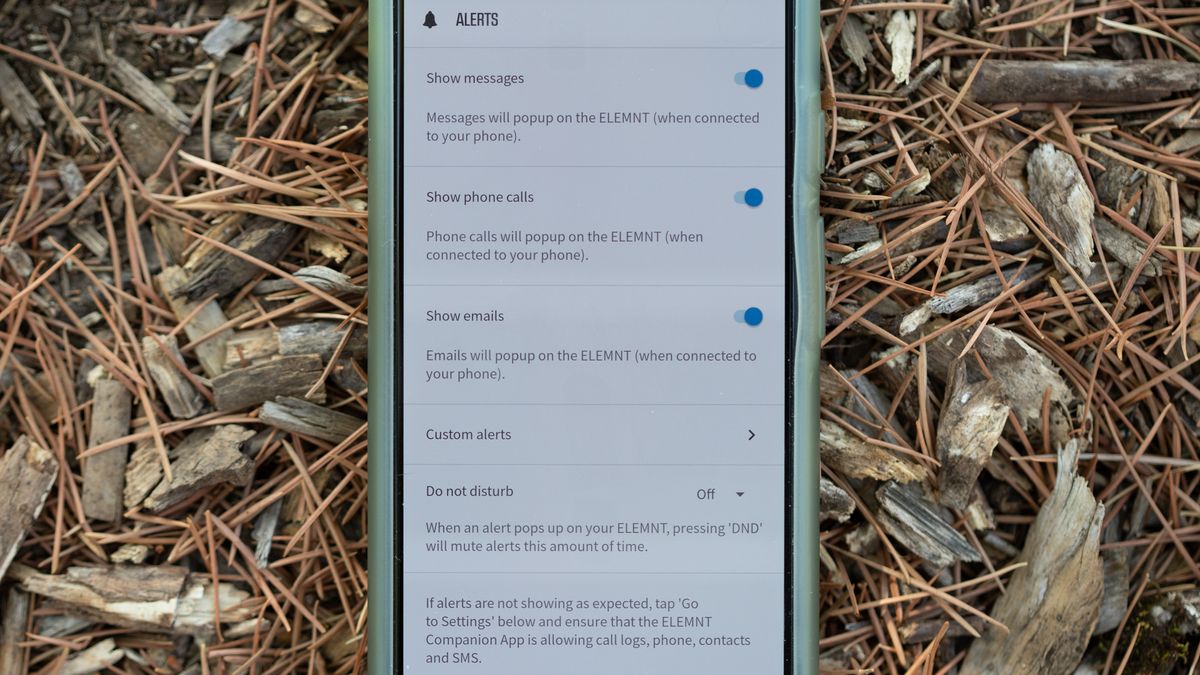 Wahoo Roam v2 phone alerts