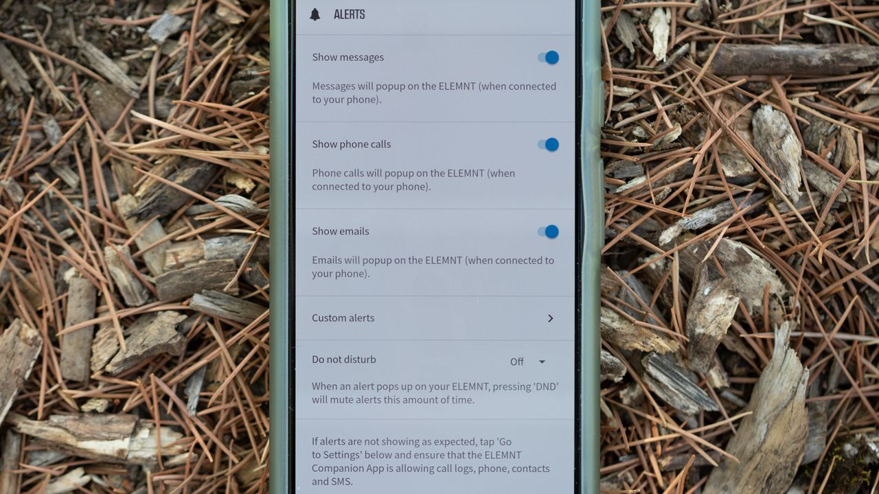 Wahoo Roam v2 phone alerts