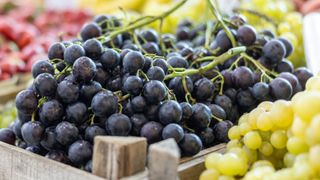 bunches of purple and green grapes