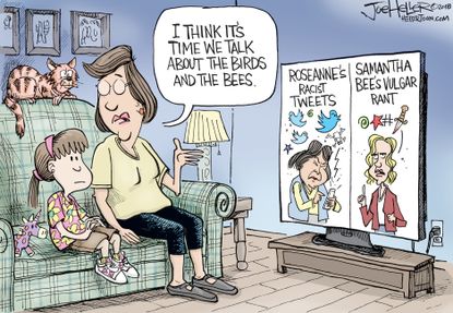 Political cartoon U.S. Roseanne Samantha Bee vulgar racism Twitter birds and bees