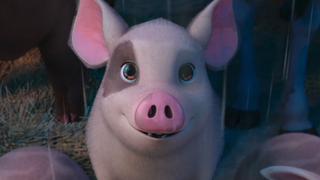 smiling pig in Animal Farm 