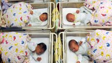 Newborn babies at hospital 