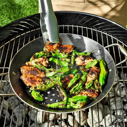 Hexclad BBQ pan review 