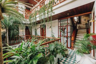 leafy interiors at amarla hotel panama city casco viejo