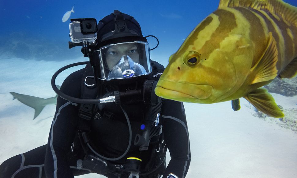 The Best Gear for Underwater Photography Tom's Guide