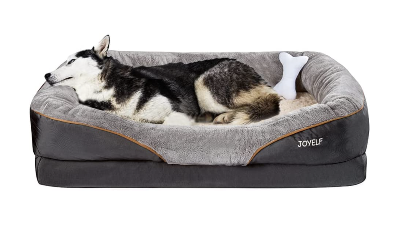 Large sofa-style orthopaedic dog bed with bone