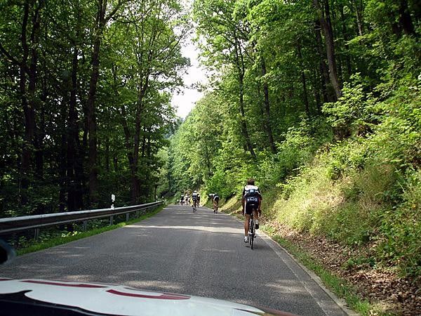 The forests of the Ardennes