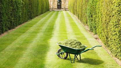 Lawn with wheelbarrow on and building in distance