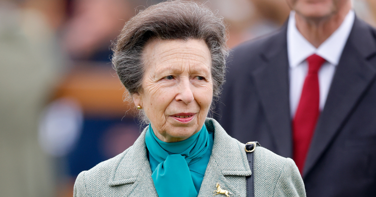 Princess Anne Is In Hospital Following 'Horse Incident' At Royal Estate ...