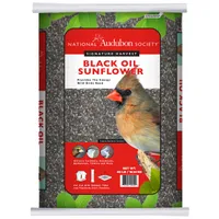 National Audubon Society Black Oil Sunflower Seed Bird Food 40-lb