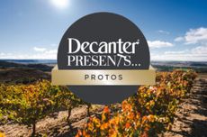 Decanter-Presents-Protos-Header-300x198