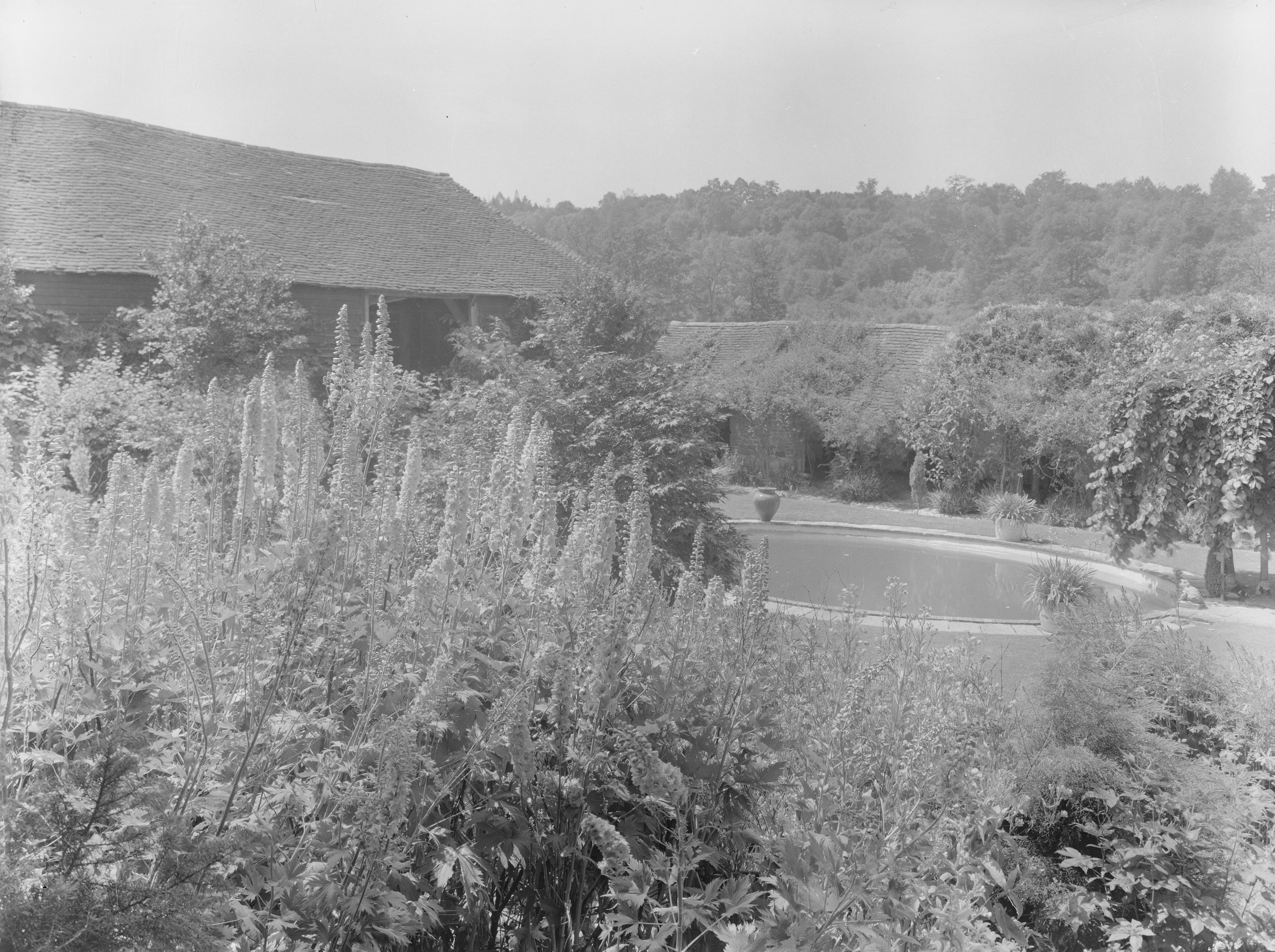 Images of Valewood Farm, with plenty of peacocks