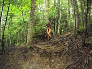 A Torq team rider tackles a tough, rooty section.