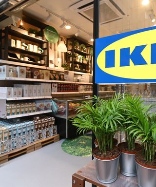 Plants and shelves in small IKEA pop-up store