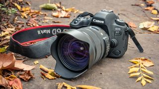 Camera Canon EOS 6D Mark III laying on the ground next to autumn leaves