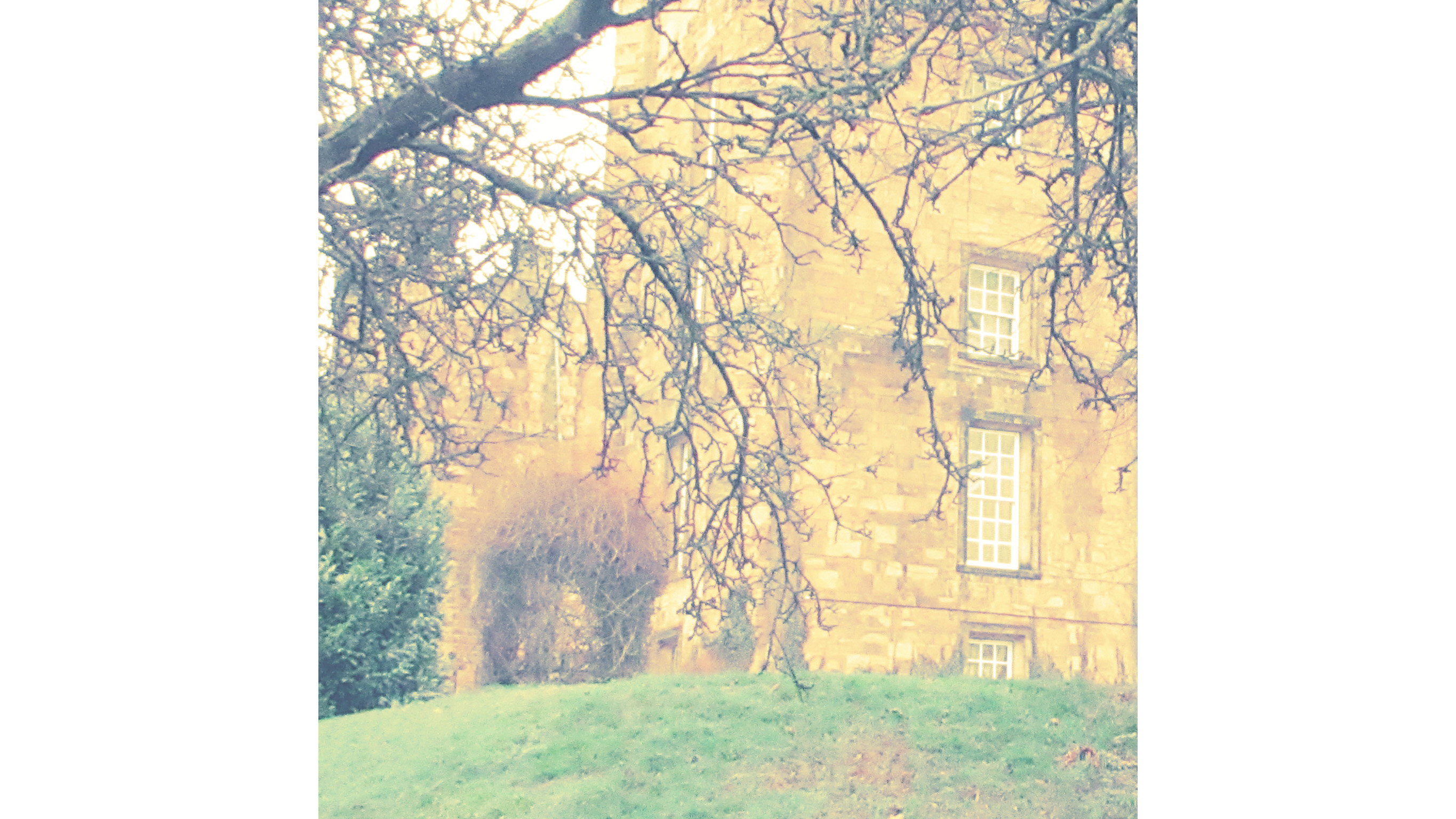 Images takes with the Canon Powershot Ixus 285 HS A