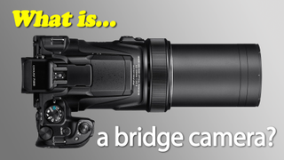 What is a bridge camera?