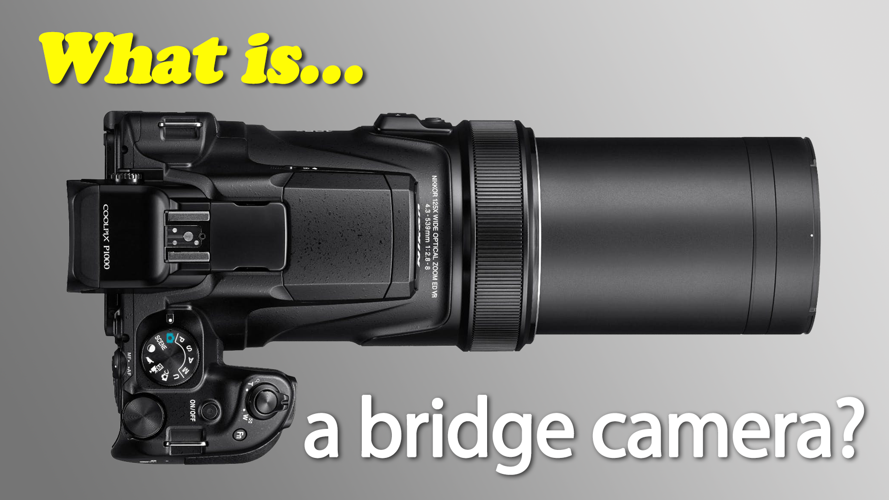 veerboot zal ik doen Consumeren What is a bridge camera? | Digital Camera World