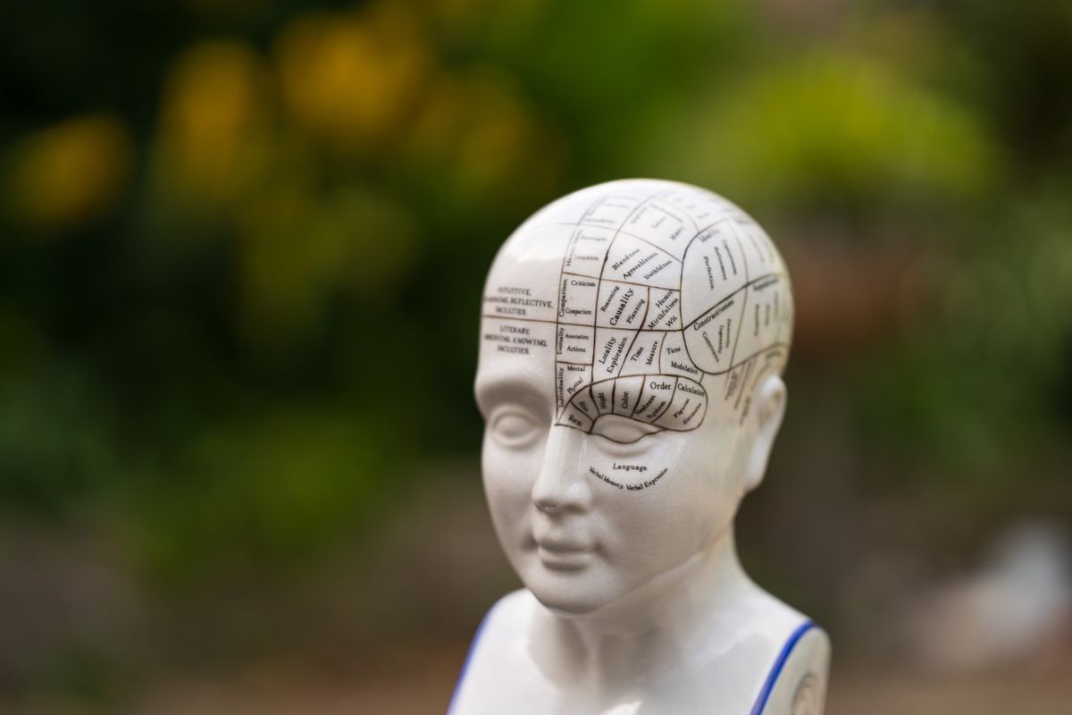 Meike 85mm f/1.4 Mix II sample image