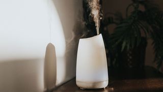 Do humidifiers help with allergies? Image shows humidifier