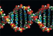 DNA1.jpg