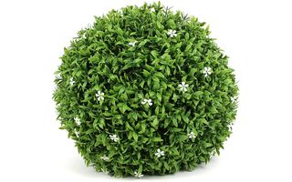 Boxwood balls