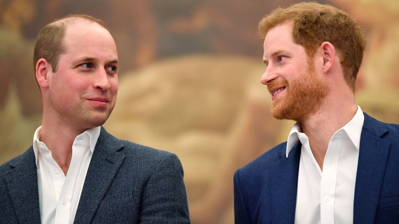 Prince Harry and Prince William 